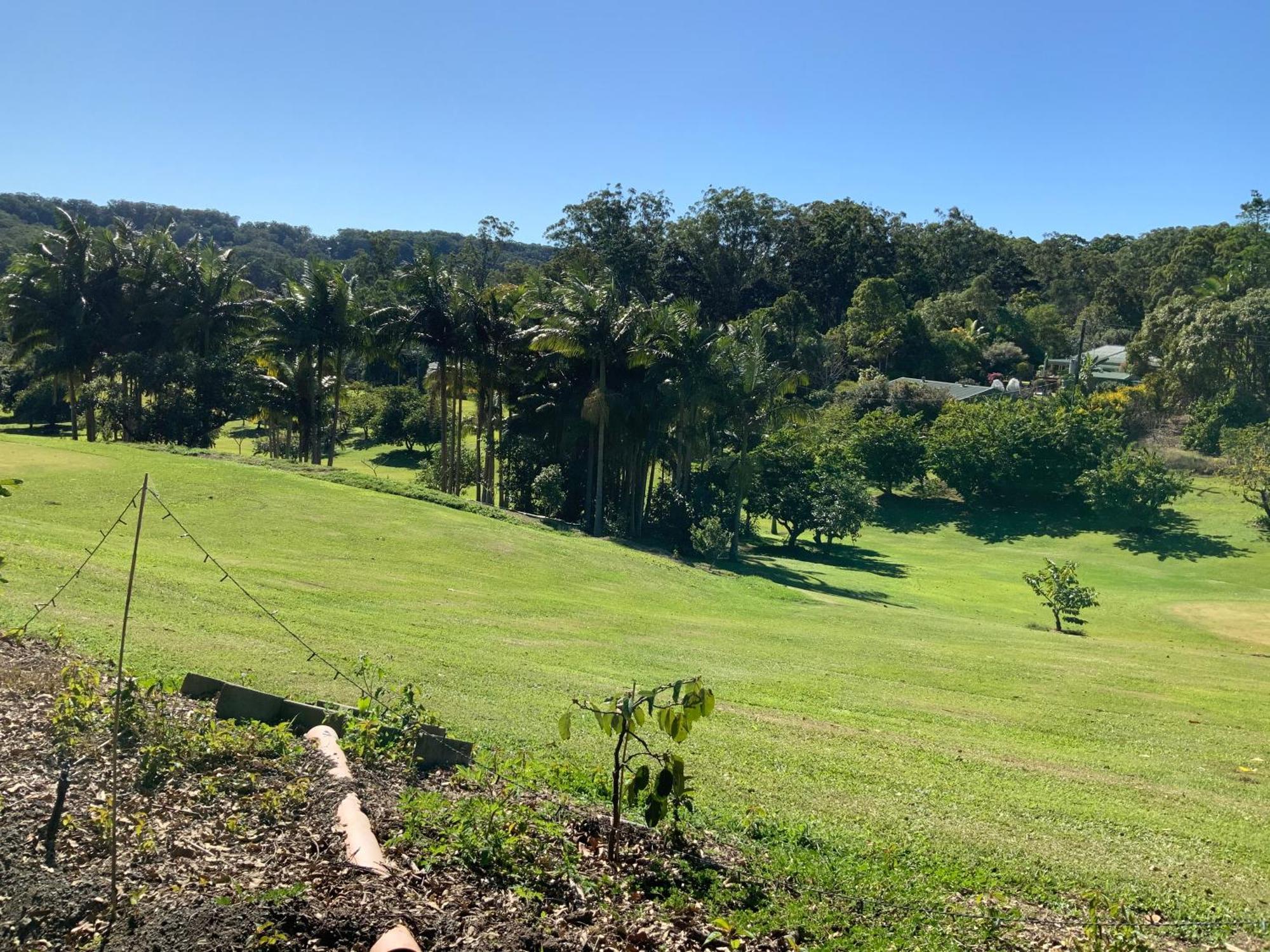 Sunshine Coast Retreat Your Own Private Golf Course Diddillibah Экстерьер фото