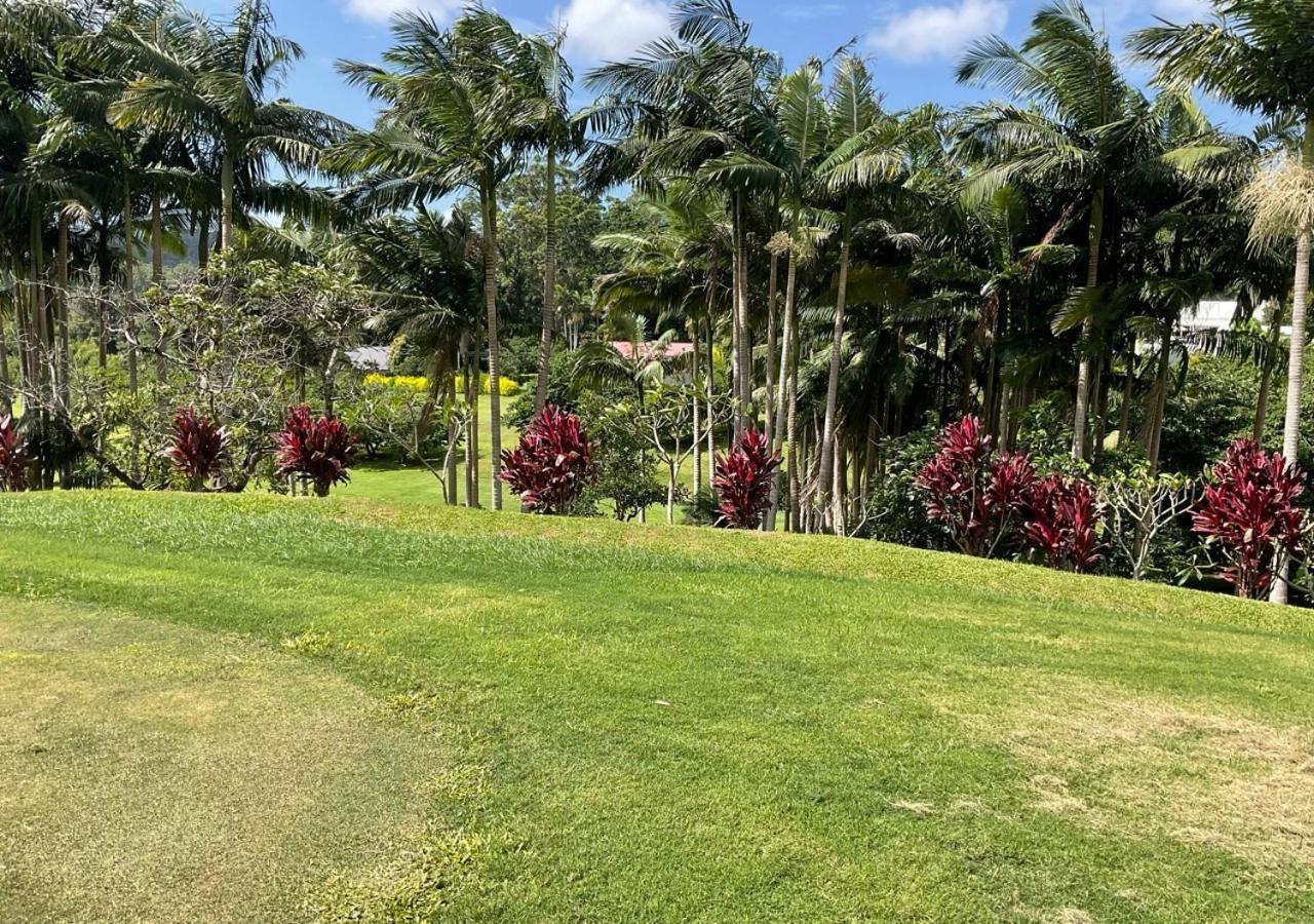 Sunshine Coast Retreat Your Own Private Golf Course Diddillibah Экстерьер фото