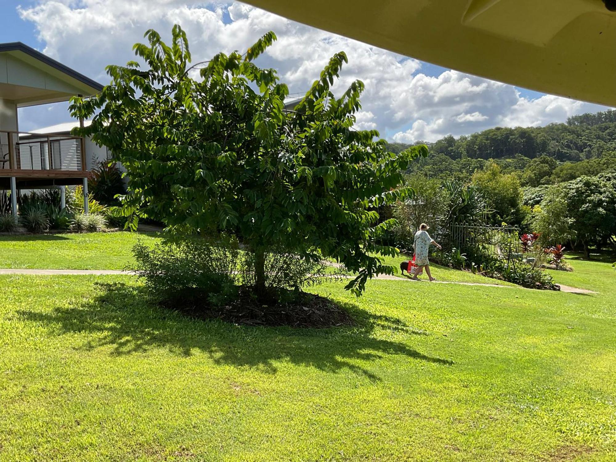 Sunshine Coast Retreat Your Own Private Golf Course Diddillibah Экстерьер фото